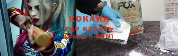 apvp Бородино