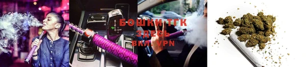 тгк Бронницы