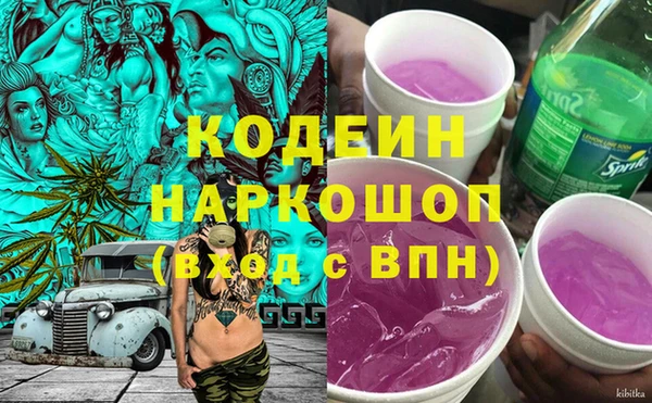 apvp Бородино