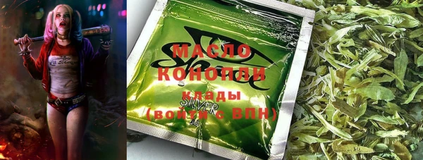 apvp Бородино