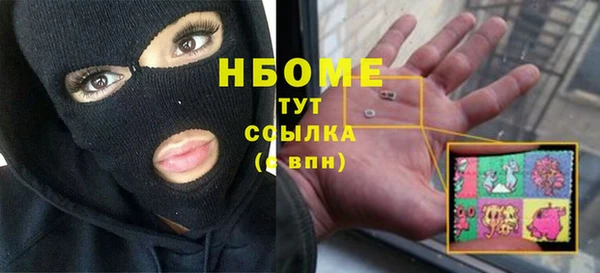 apvp Бородино