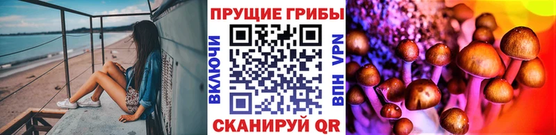 купить наркотик  Ноябрьск  Галлюциногенные грибы Magic Shrooms 