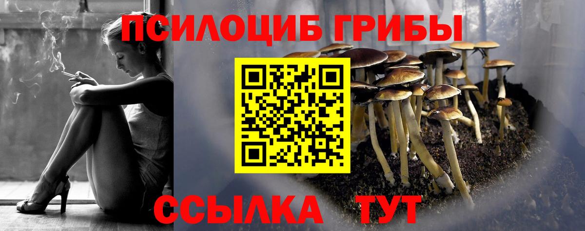 Ноябрьск  Псилоцибиновые грибы GOLDEN TEACHER  Вход с VPN 