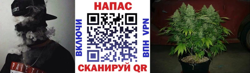 Каннабис план  маркетплейс наркотические препараты  Ноябрьск 